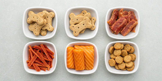 An assortment of top-rated healthy dog treats for 2022 in several white bowls.