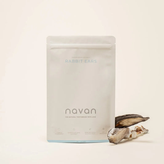 Dog enjoying a Navan Pet chew as part of an oral wellness routine