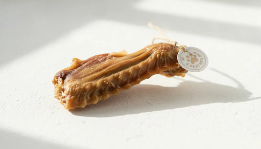 Duck wings for dogs single ingredient natural dental chew