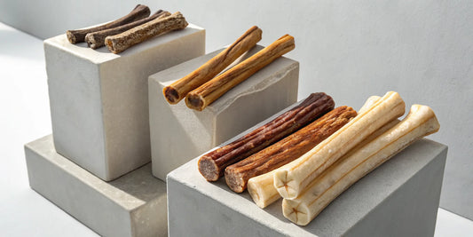 The best long lasting natural dog chews: bully sticks, beef tendons, and yak chews.