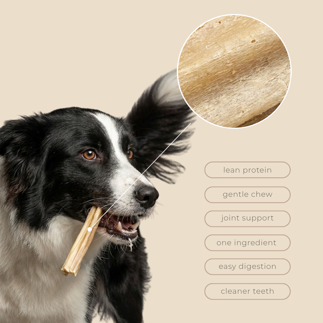 rabbit stick 10 day supply