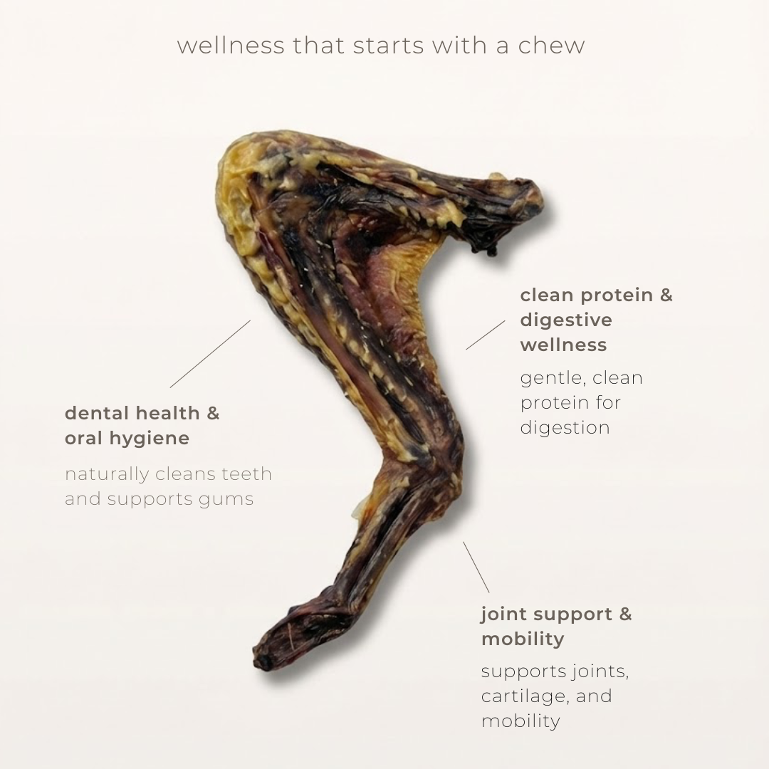 duck wing - 4 day supply
